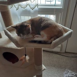 Meet your Posher, Janet